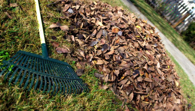Top Cut Lawn Care Debris and Leaf Removal