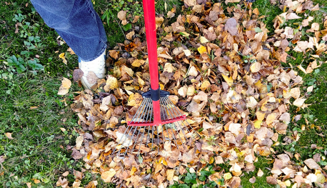 Top Cut Lawn Care Debris and Leaf Removal