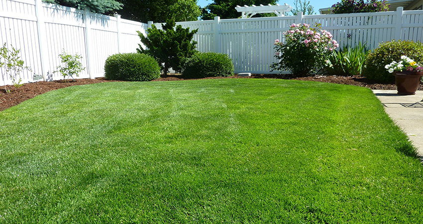 Top Cut Lawn Care Property Management